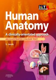 Human Anatomy, 1st Edition - A Clinically-Orientated Approach