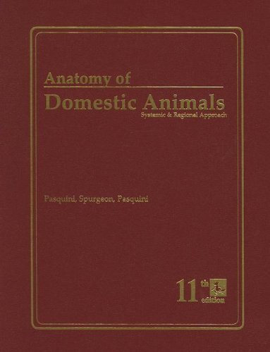 Pasquini Anatomy of Domestic Animals Systemic and Regional Approach