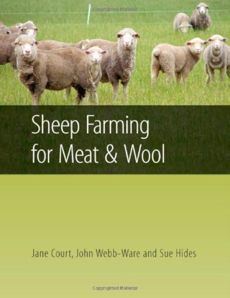 Sheep Farming for Meat and Wool