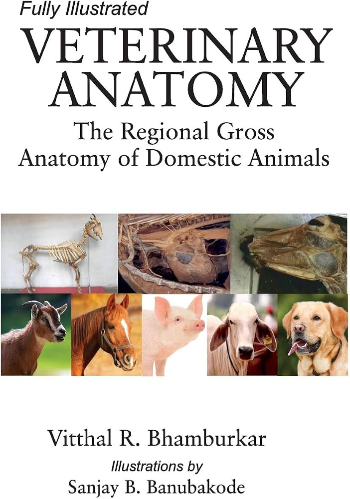 Veterinary Anatomy: The Regional Gross Anatomy of the Domestic Animals: Fully Illustrated