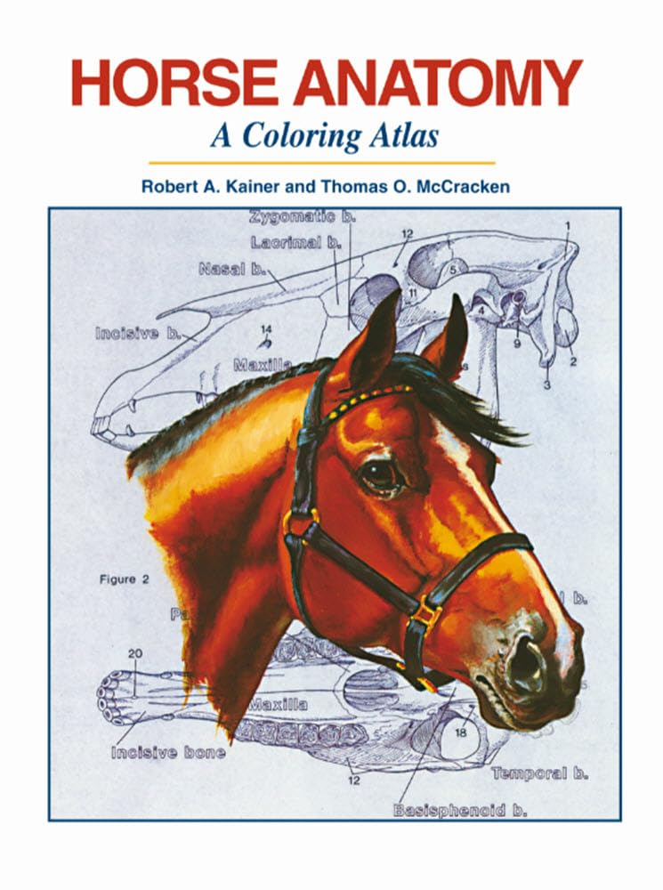 Coloring Atlas of Horse Anatomy