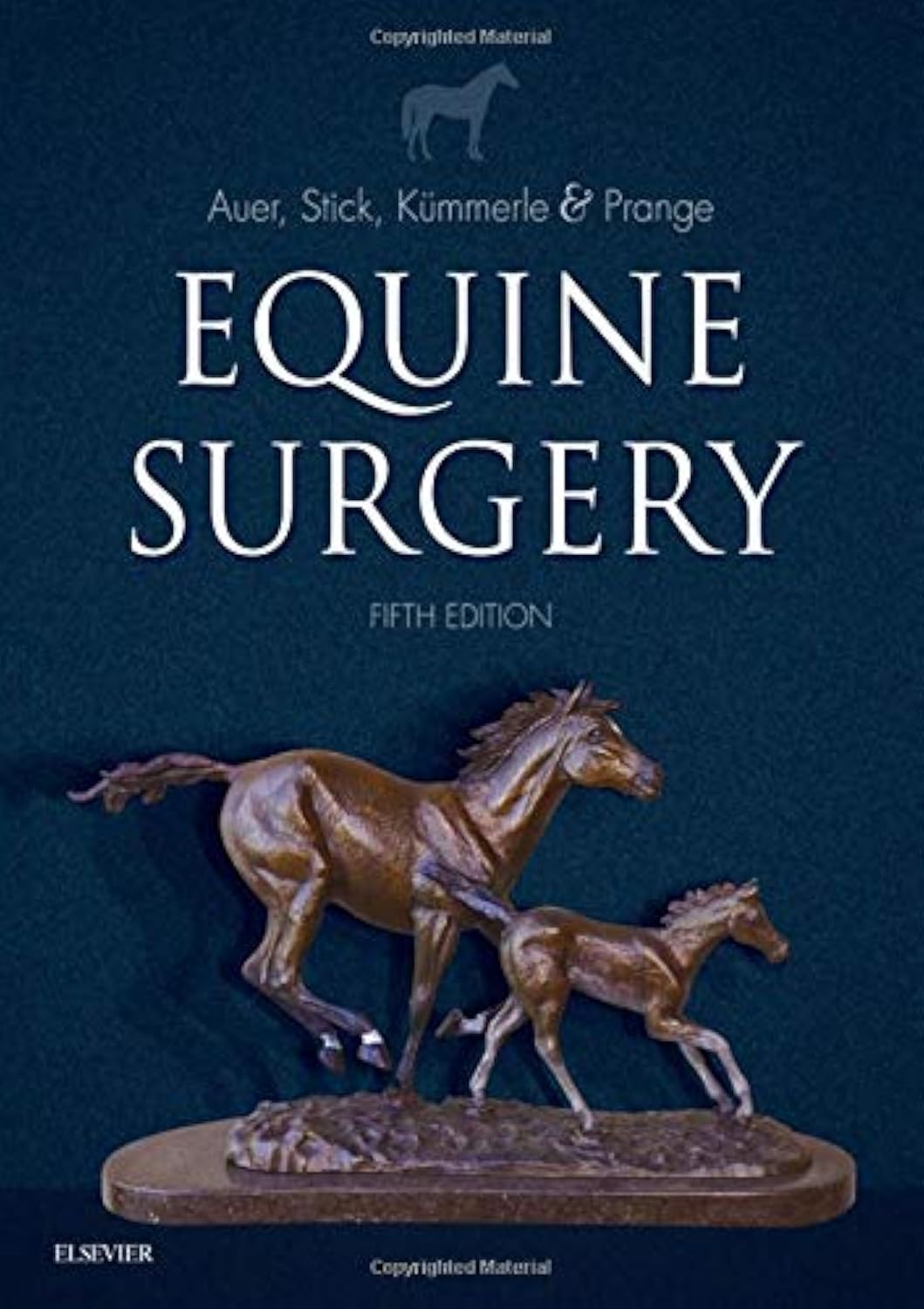 Equine Surgery 5th Edition