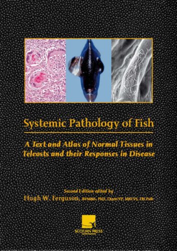 Systemic Pathology of Fish