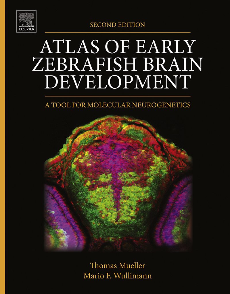 Atlas of Early Zebrafish Brain Development: A Tool for Molecular Neurogenetics