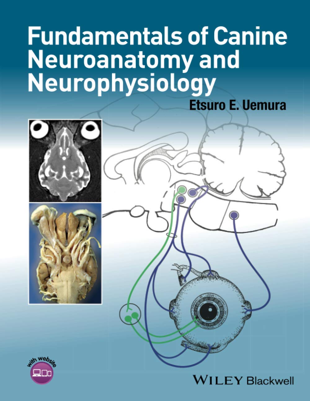Fundamentals of Canine Neuroanatomy and Neurophysiology 1st Edition