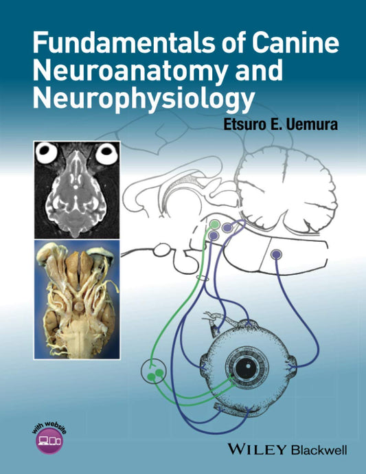 Fundamentals of Canine Neuroanatomy and Neurophysiology 1st Edition