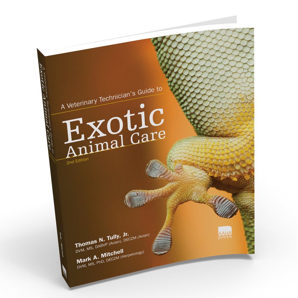 A Veterinary Technician's Guide to Exotic Animal Care