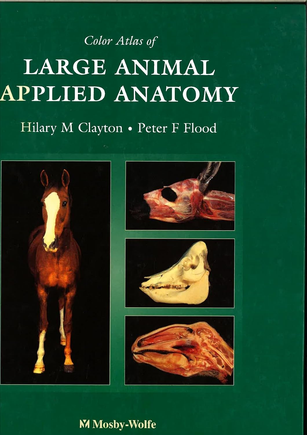 Color Atlas of Large Animal Applied Anatomy