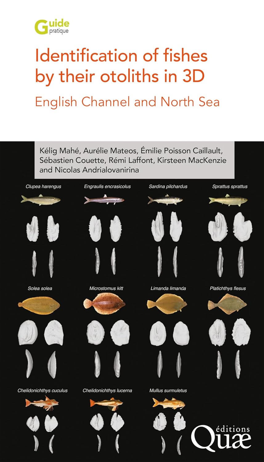 Identification of Fishes by their Otoliths in 3D, English Channel and North Sea