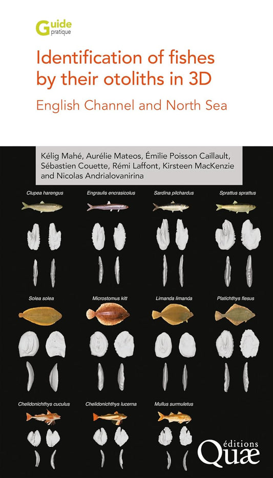 Identification of Fishes by their Otoliths in 3D, English Channel and North Sea