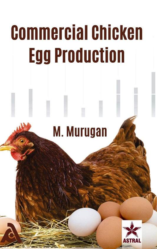 Commercial Chicken Egg Production