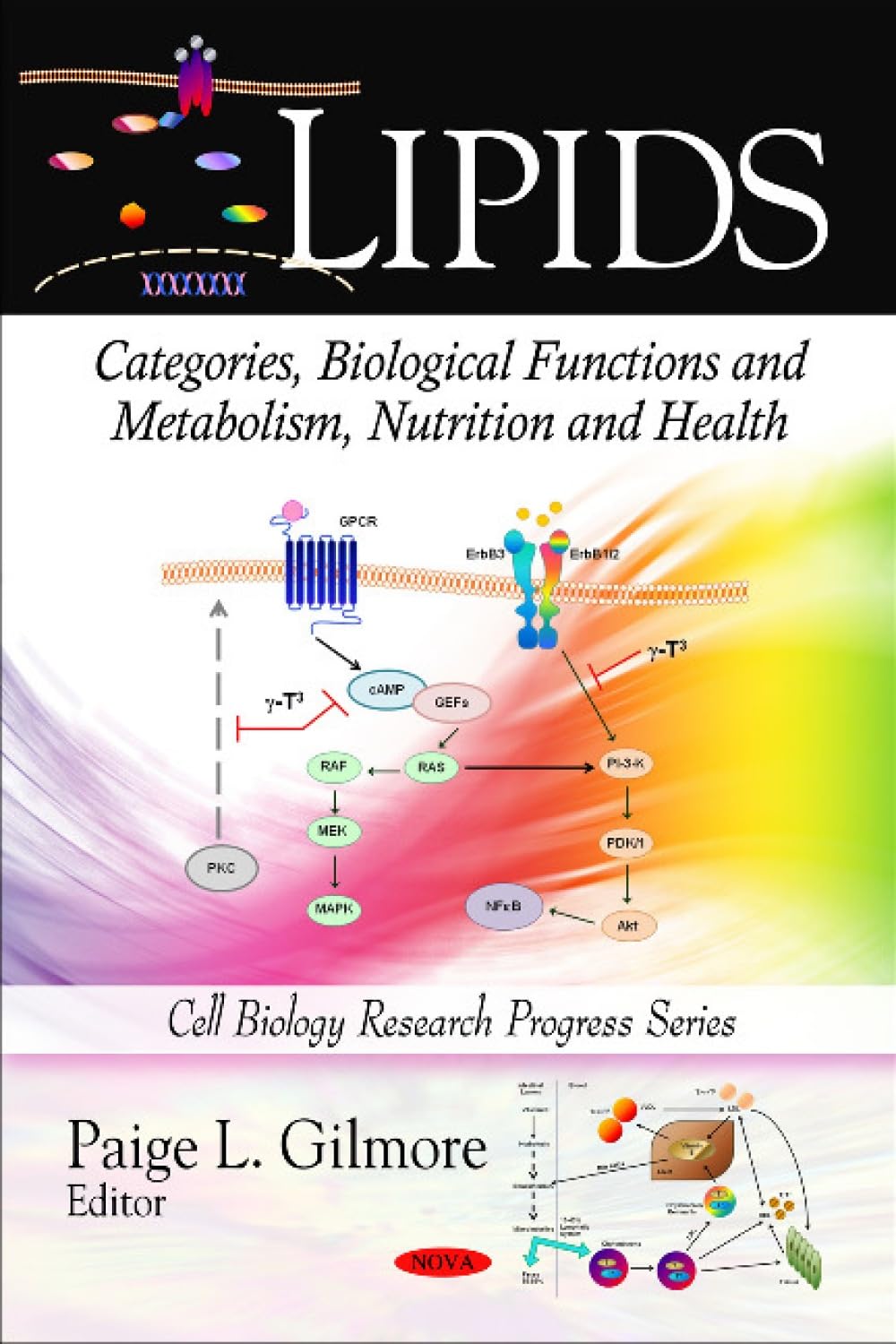 Lipids: Categories, Biological Functions and Metabolism, Nutrition and Health