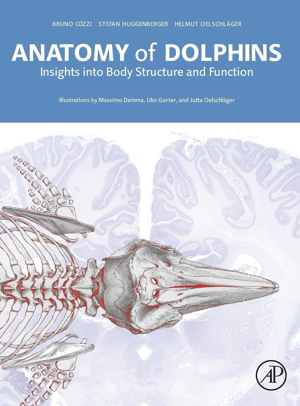 Anatomy of Dolphins Insights Into Body Structure and Function