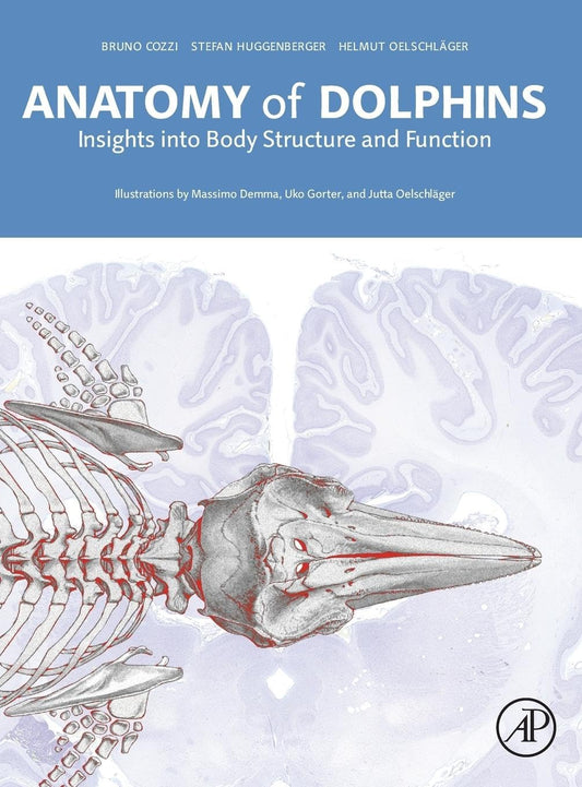 Anatomy of Dolphins Insights Into Body Structure and Function
