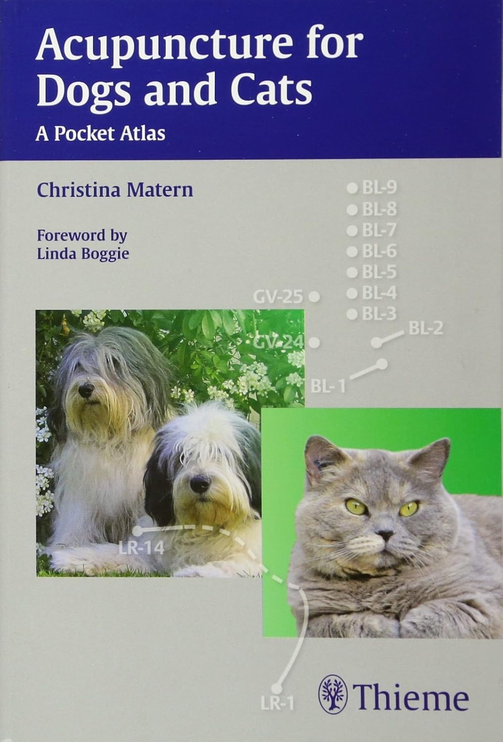 Acupuncture for Dogs and Cats: A Pocket Atlas 1st Edition