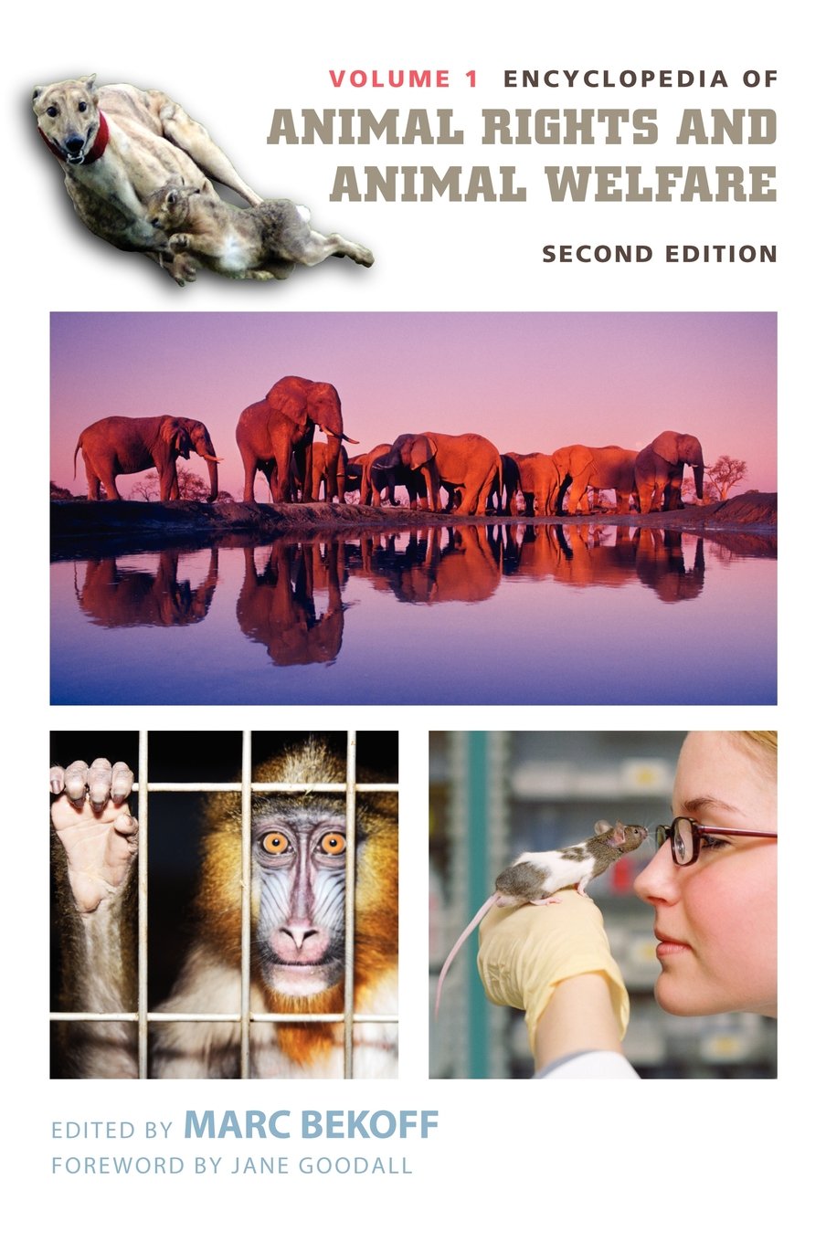 Encyclopedia of Animal Rights and Animal Welfare, Volume 1