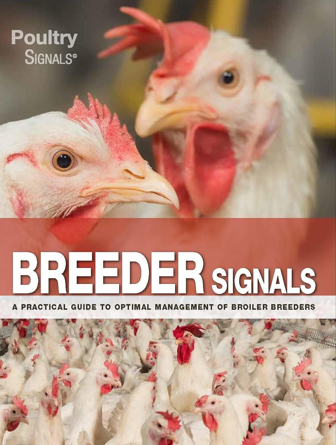 Breeder Signals, A Practical Guide to Optimal Management of Broiler Breeders