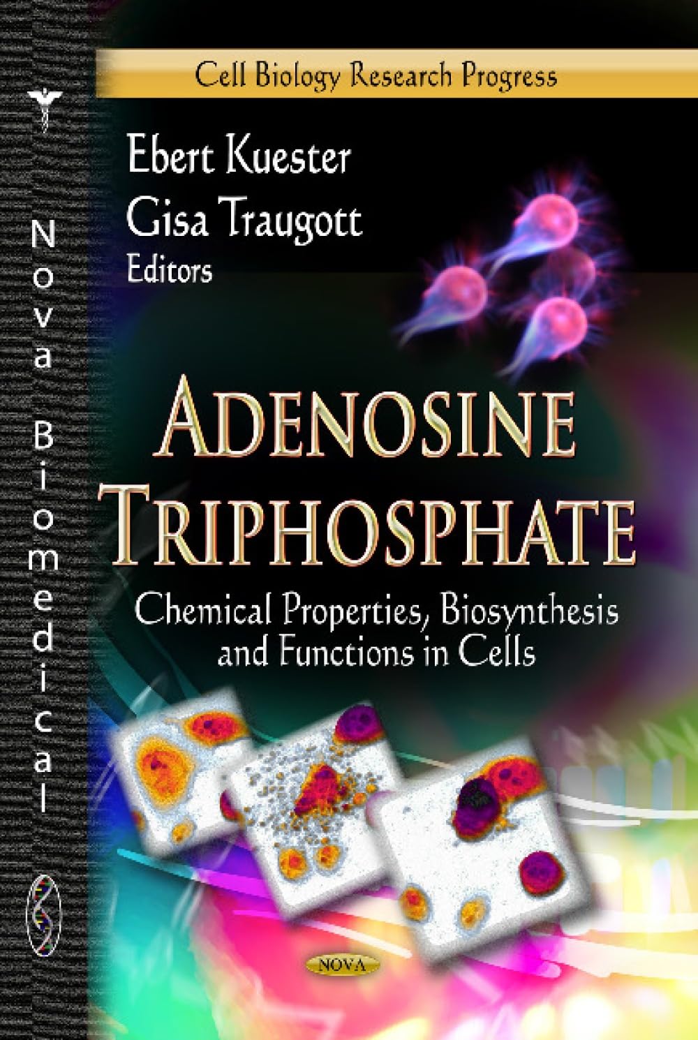 Adenosine Triphosphate: Chemical Properties, Biosynthesis and Functions in Cells