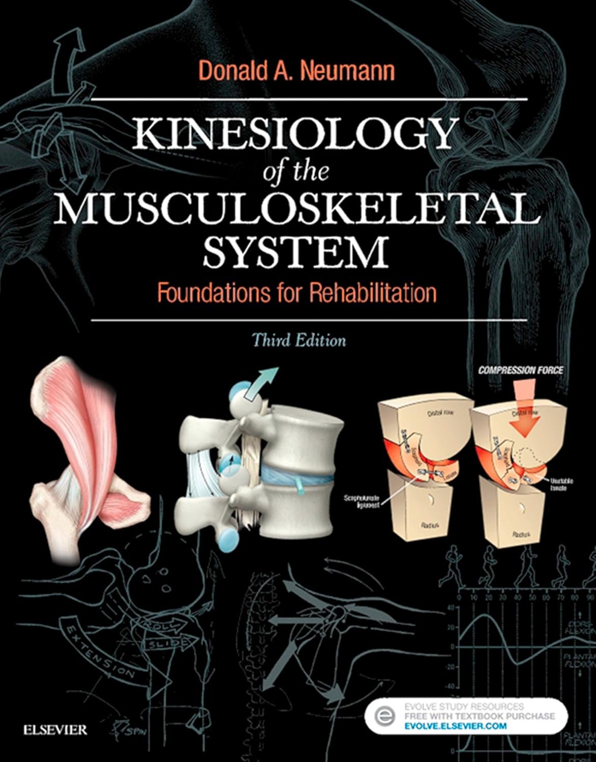 Kinesiology of the Musculoskeletal System - E-Book, 3rd Edition