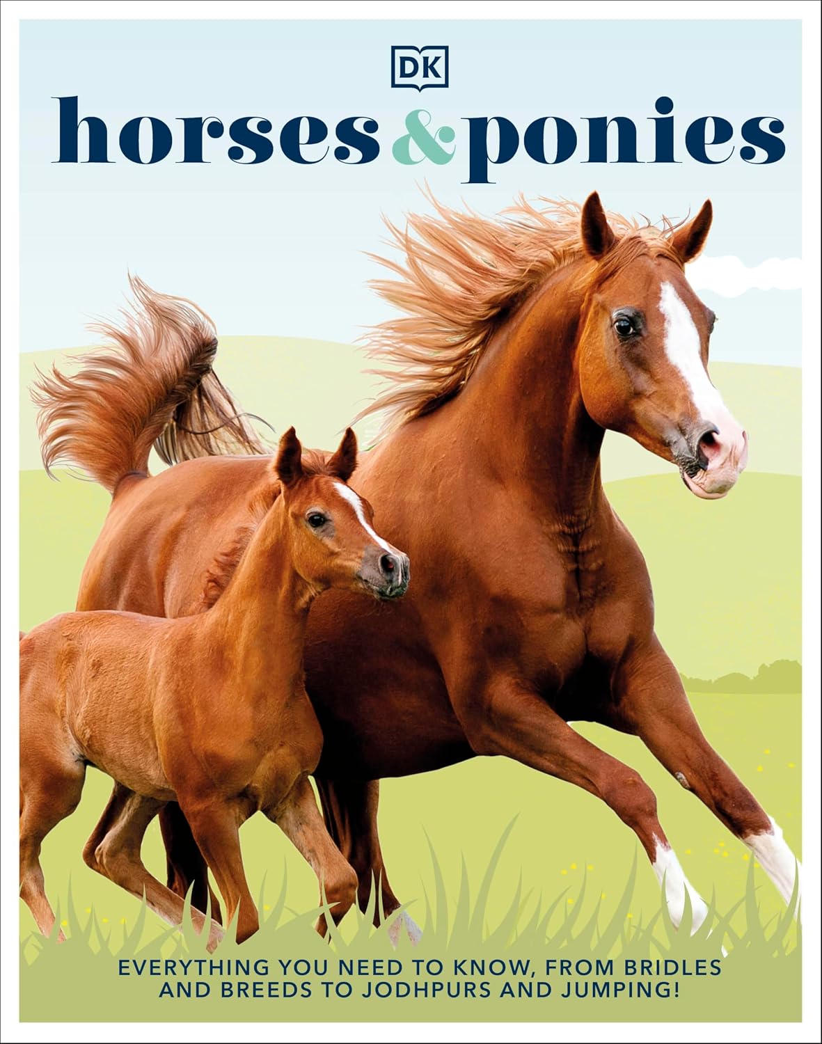 Horses & Ponies: Everything You Need to Know, From Bridles and Breeds to Jodhpurs and Jumping!