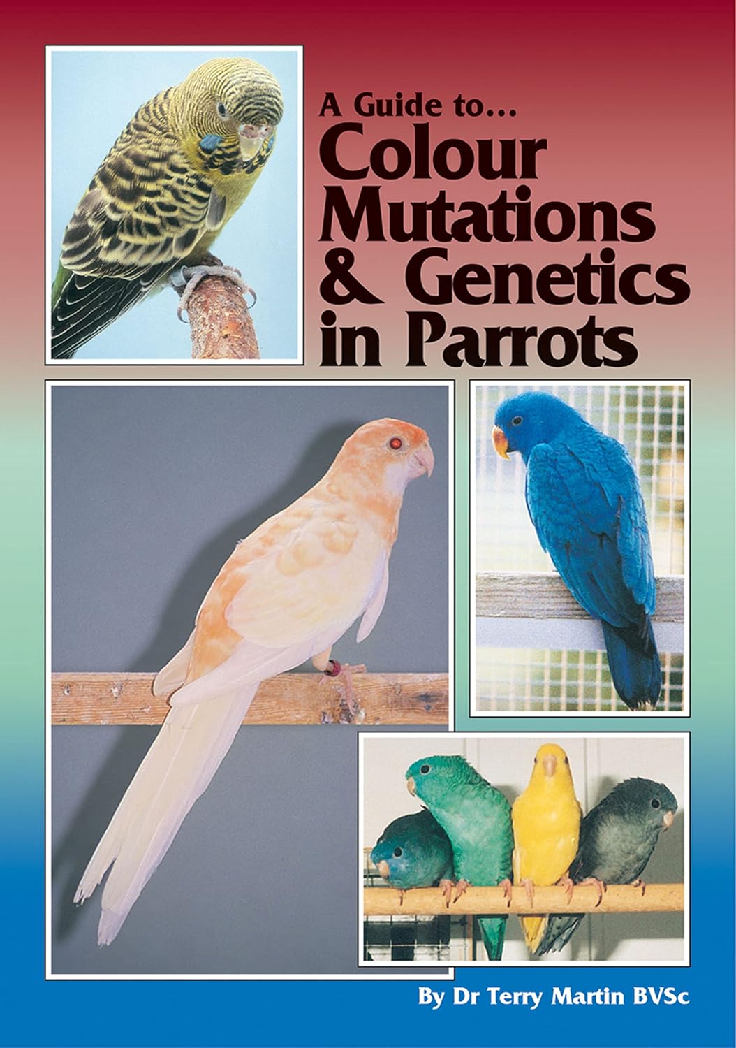 Guide to Colour Mutations and Genetics in Parrots
