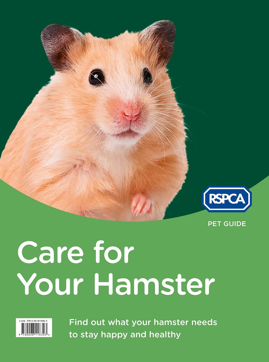 Care for Your Hamster: A Practical Guide to Housing, Feeding, and Rodent Behaviour
