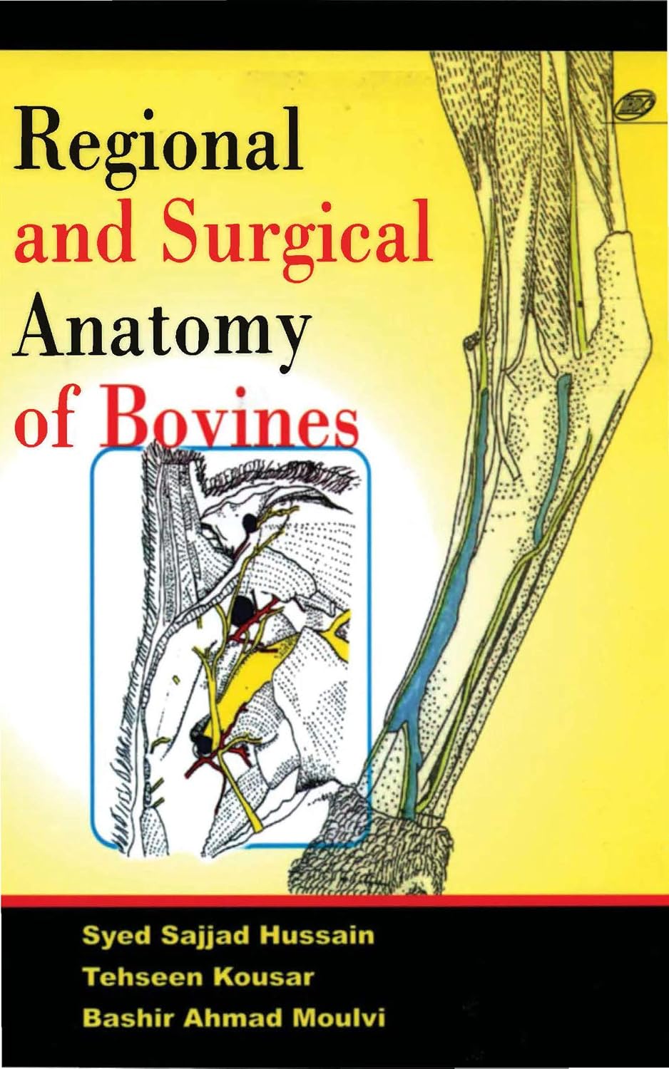 Regional and Surgical Anatomy of Bovines