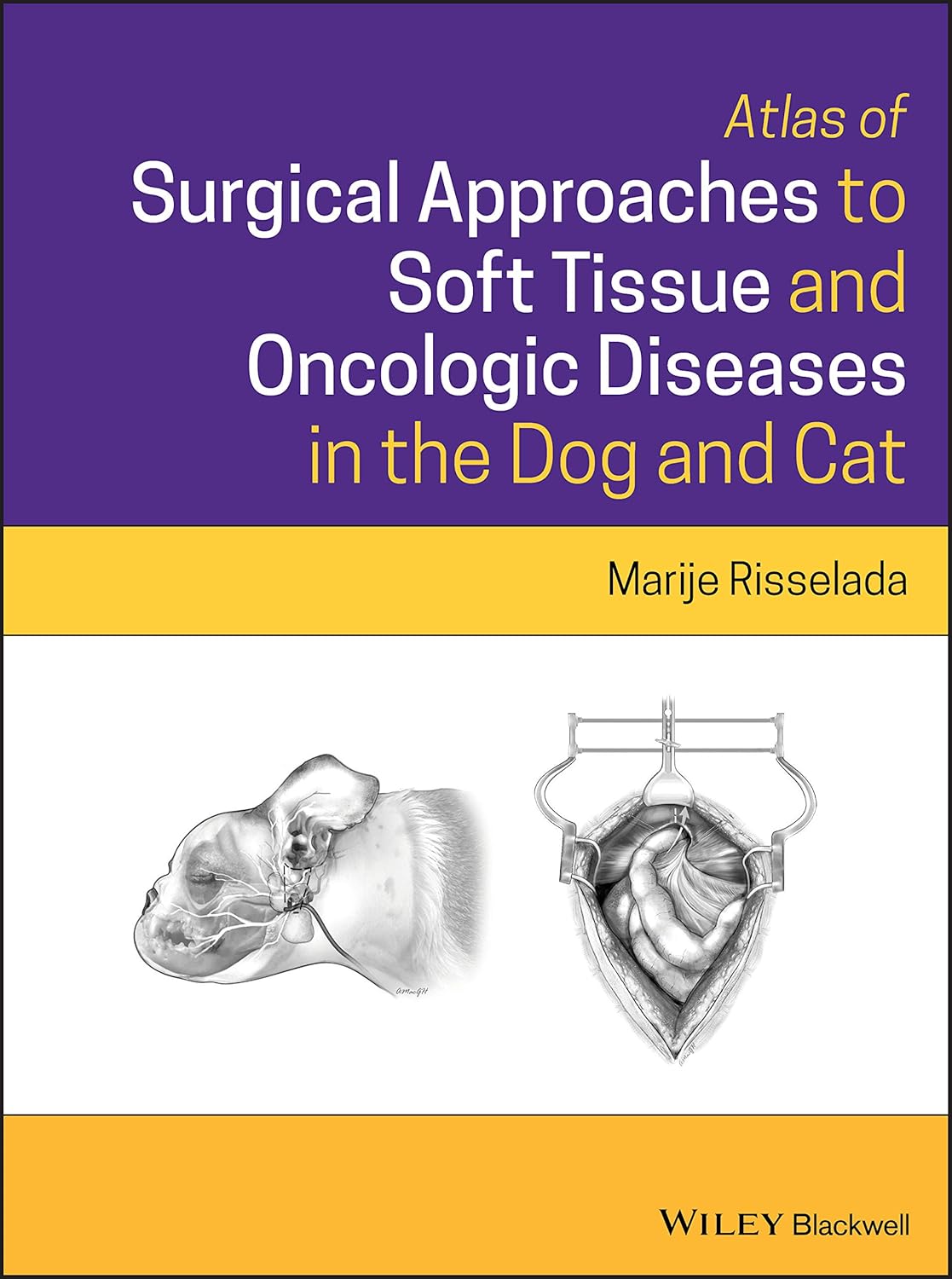 Atlas of Surgical Approaches to Soft Tissue and Oncologic Diseases in the Dog and Cat