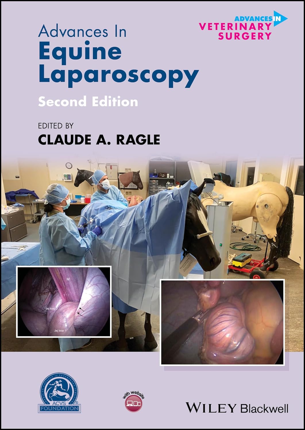 Advances in Equine Laparoscopy 2nd Edition