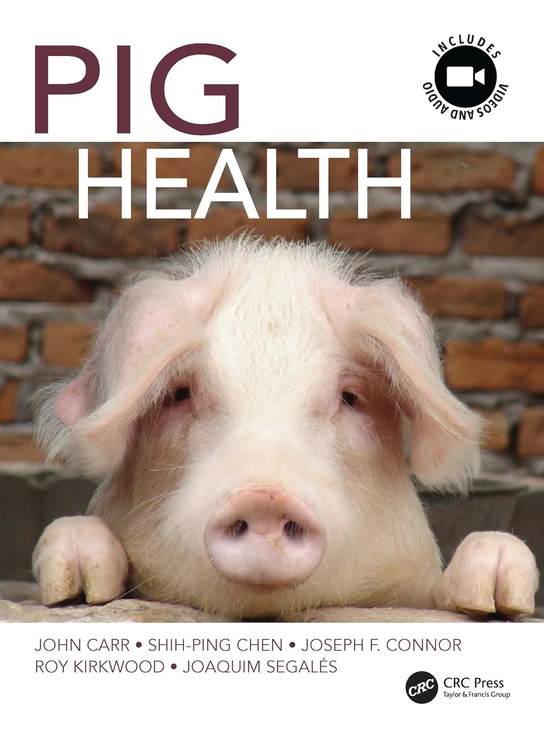 Pig Health 1st Edition