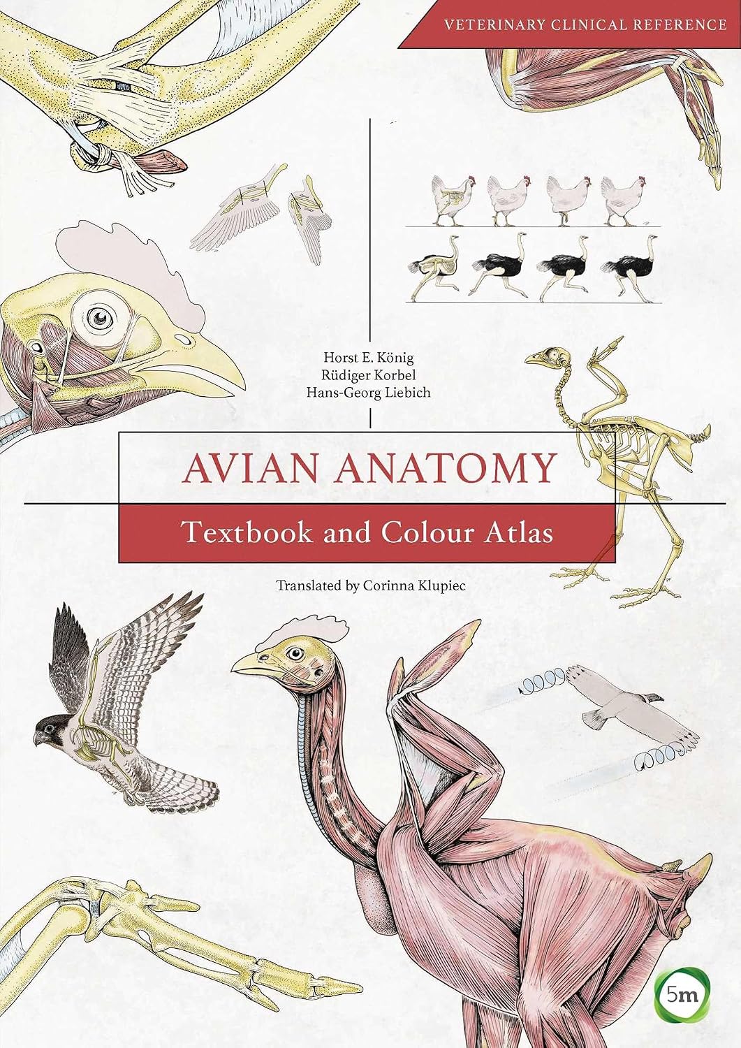 Avian Anatomy, 2nd Edition: Textbook and Colour Atlas