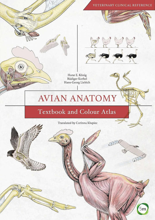 Avian Anatomy, 2nd Edition: Textbook and Colour Atlas
