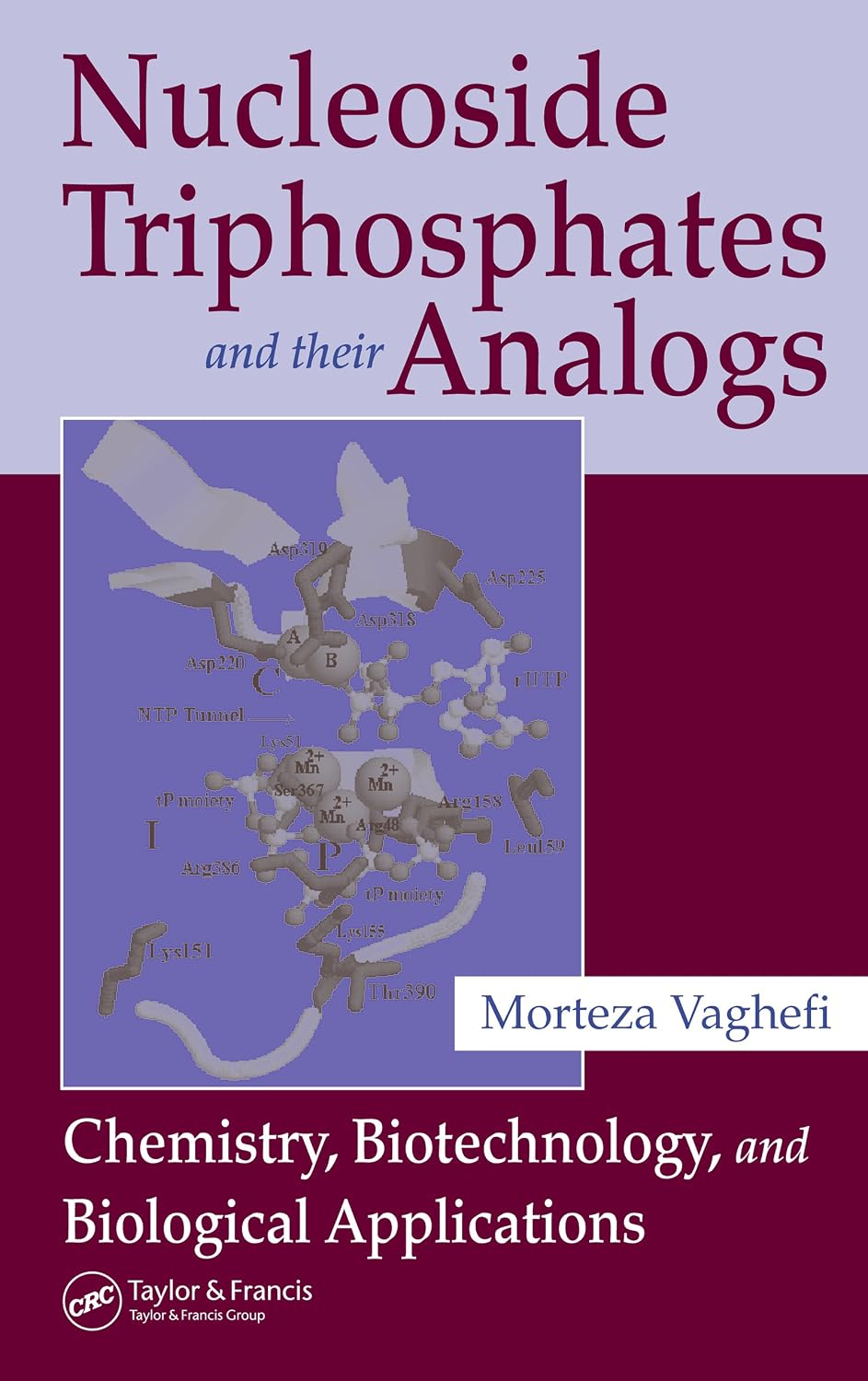 Nucleoside Triphosphates and their Analogs