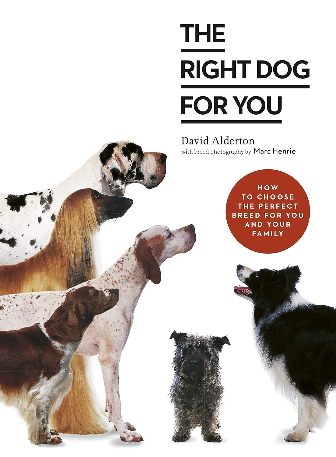 The Right Dog for You: How to choose the perfect breed for you and your family