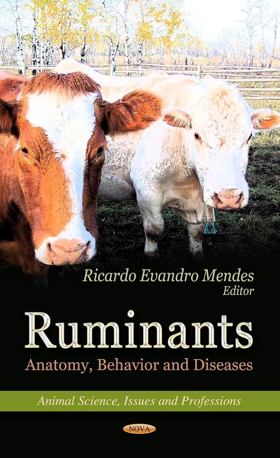 Ruminants: Anatomy, Behavior and Diseases