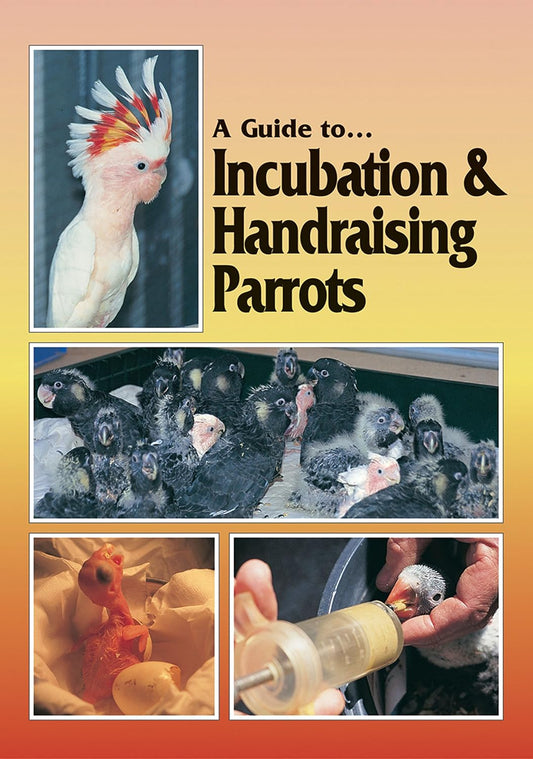 A Guide to Incubation & Handraising Parrots