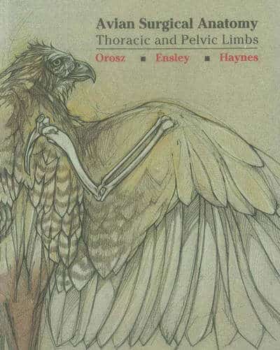 Avian Surgical Anatomy: Thoracic and Pelvic Limbs
