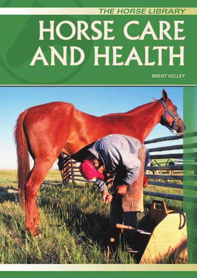 Horse Care and Health