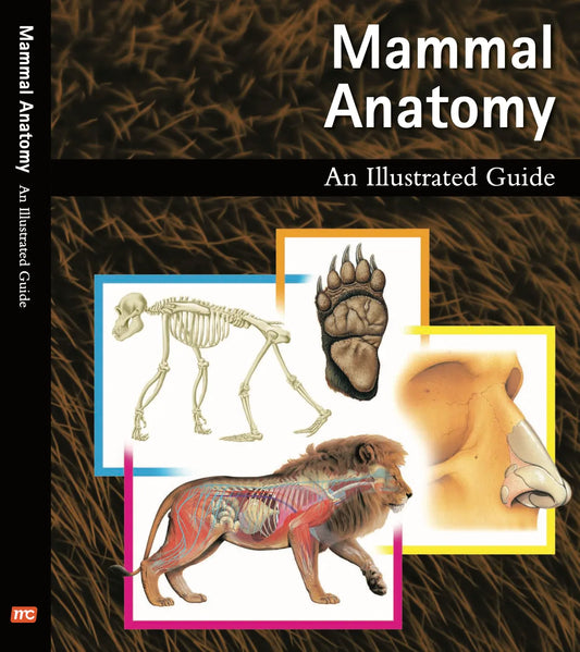 Mammal Anatomy: An Illustrated Guide