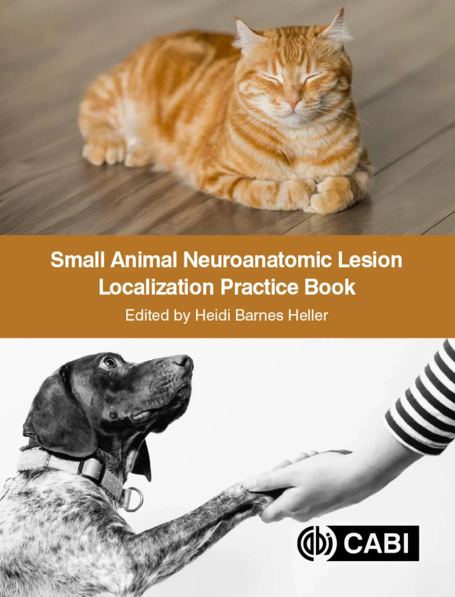Small Animal Neuroanatomic Lesion Localization Practice Book ...