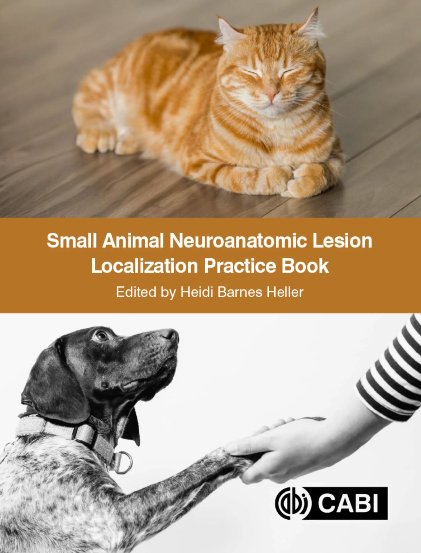 Small Animal Neuroanatomic Lesion Localization Practice Book