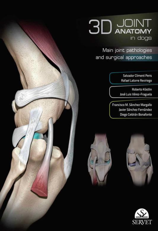 3D joint anatomy in dogs: MAIN JOINT PATHOLOGIES AND SURGICAL APPROACHES