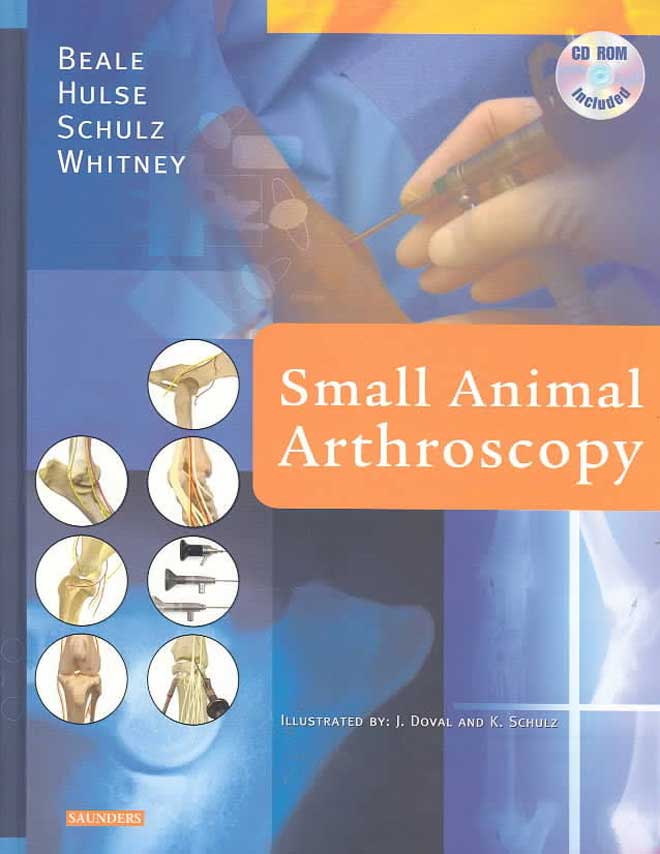 Small Animal Arthroscopy