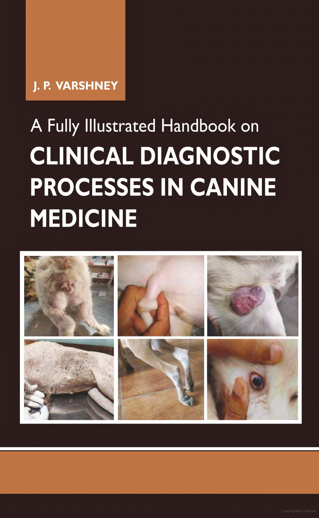 A Fully Illustrated Handbook on Clinical Diagnostic Processes in Canine Medicine