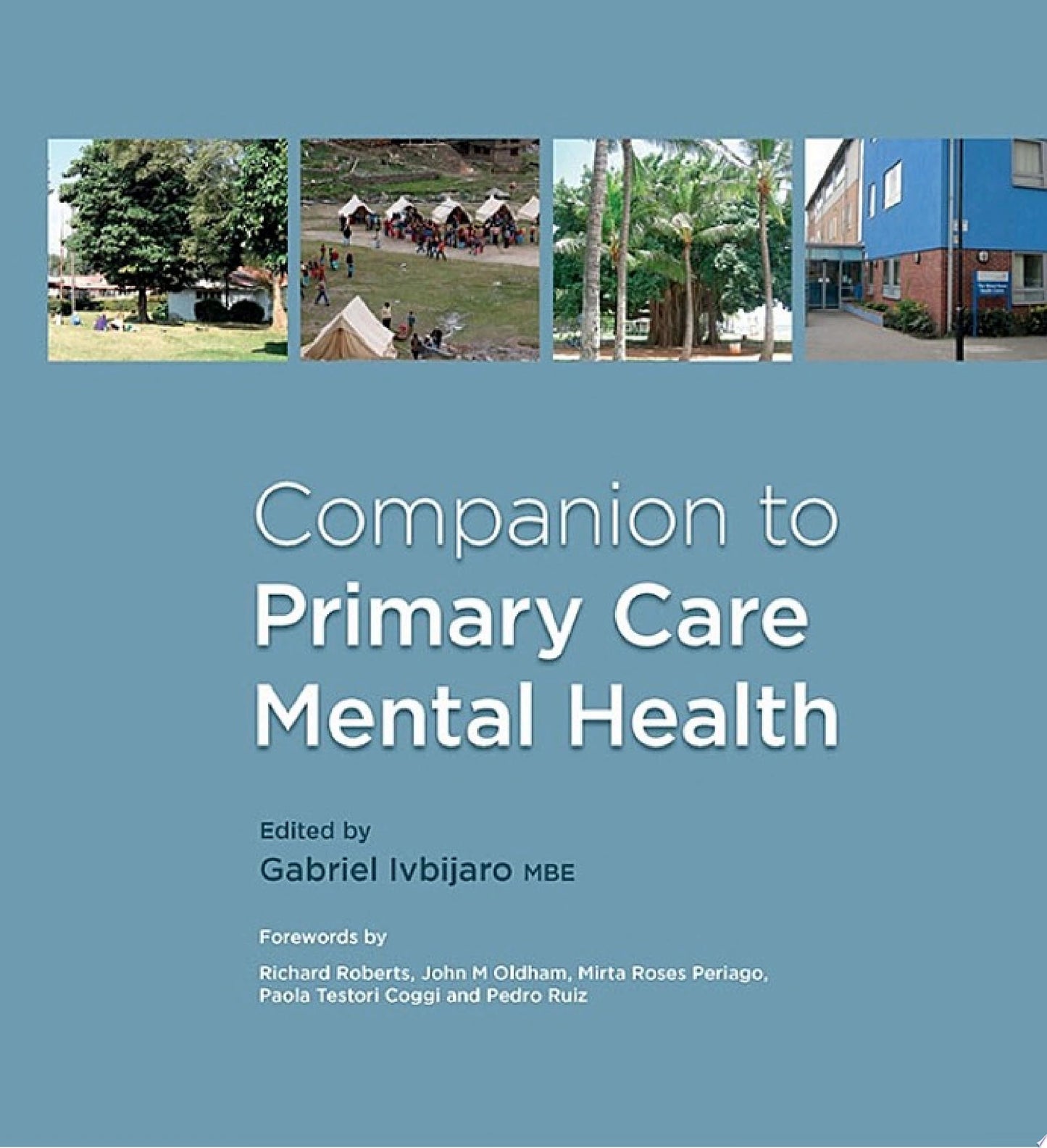 Companion to Primary Care Mental Health