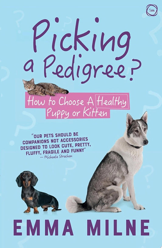 Picking a Pedigree: How to Choose a Healthy Puppy or Kitten