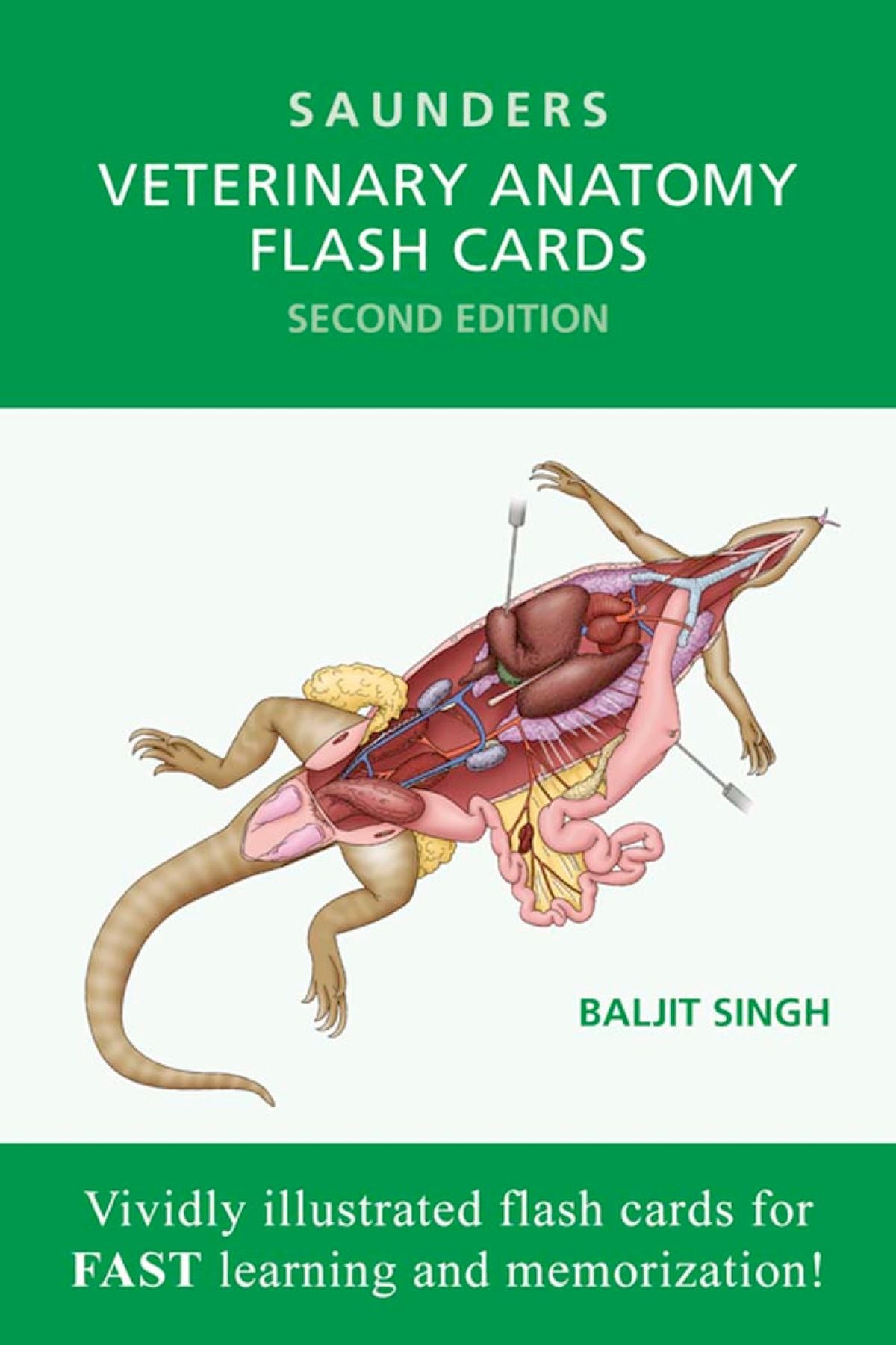 Saunders Veterinary Anatomy Flash Cards